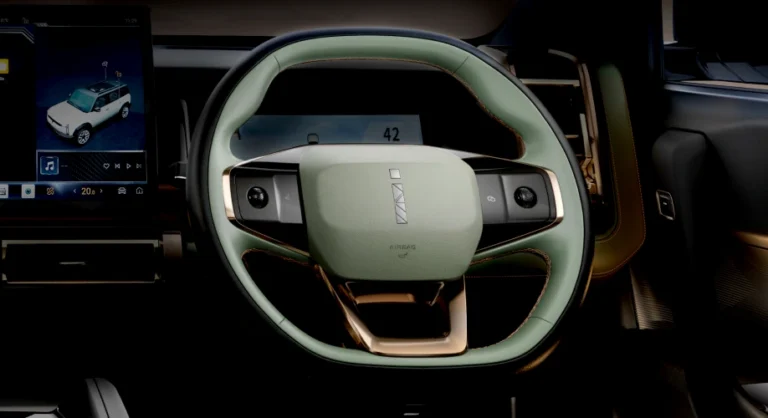 Multi Fuction Steering Wheel
