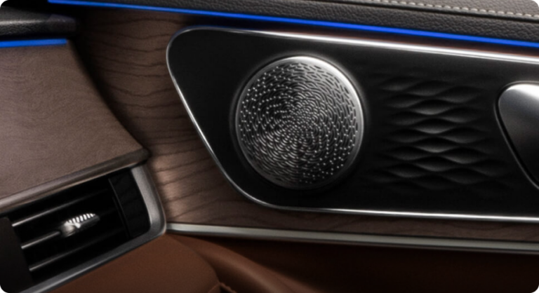 Double Speaker